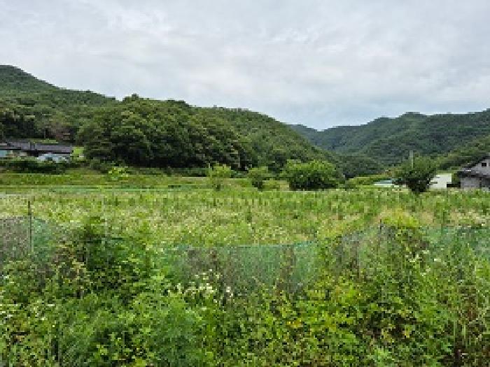 원주시 호저면 용곡리 전 경매 물건 사진