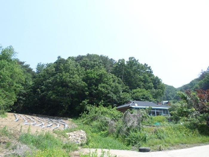 원주시 문막읍 궁촌리 임야 경매 물건 사진