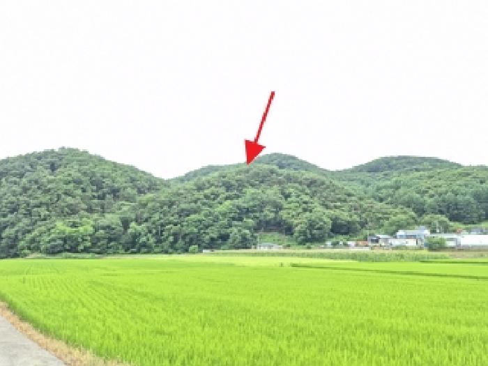 원주시 호저면 고산리 임야 경매 물건 사진
