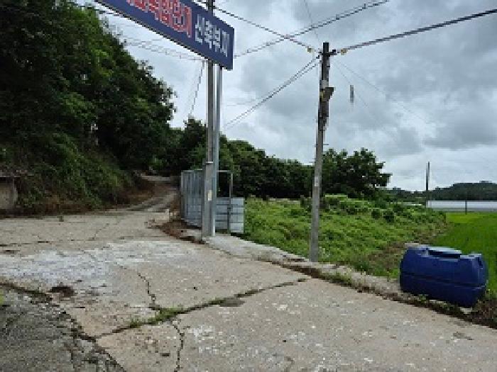 원주시 소초면 장양리 동물및식물관련시설 경매 물건 사진
