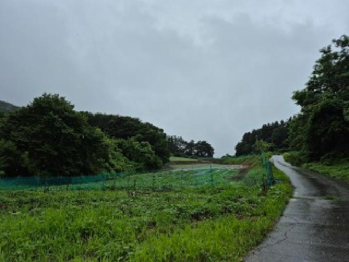 횡성군 강림면 강림리 전 경매 물건 사진