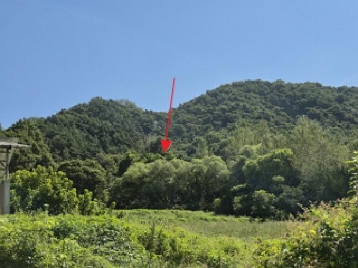 횡성군 횡성읍 생운리 전 경매 물건 사진