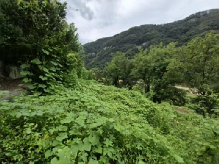 원주시 문막읍 건등리 대지,임야,전답 경매 물건 사진