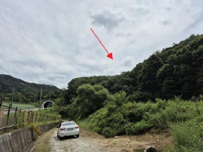 원주시 지정면 판대리 임야 경매 물건 사진