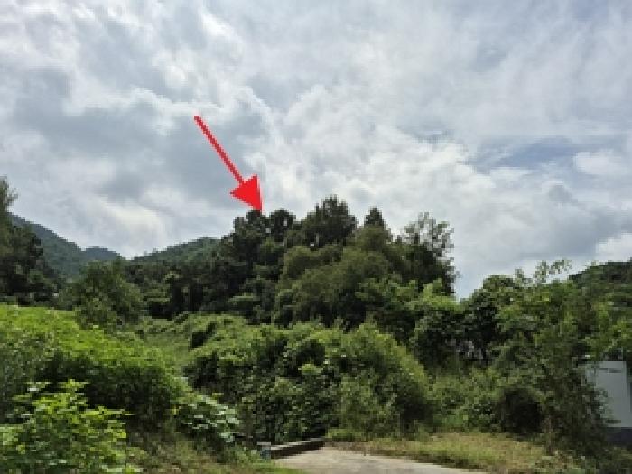 원주시 문막읍 후용리 전 경매 물건 사진