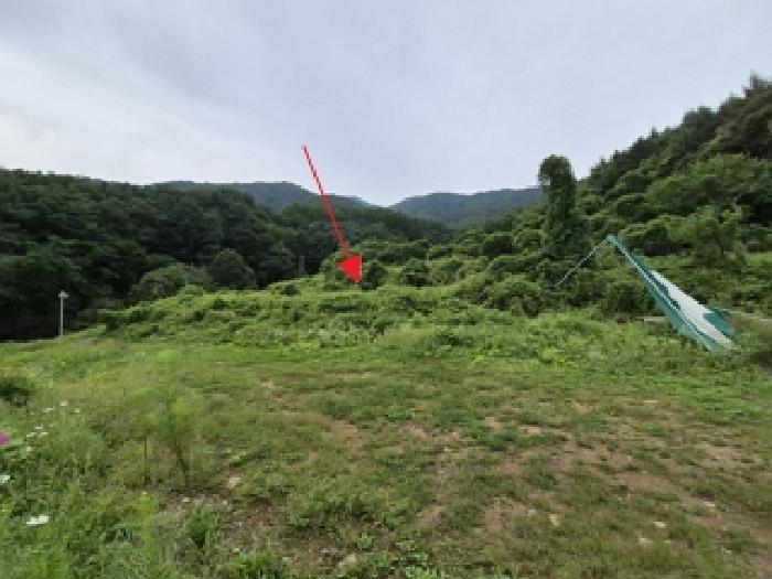 원주시 판부면 신촌리 전 경매 물건 사진