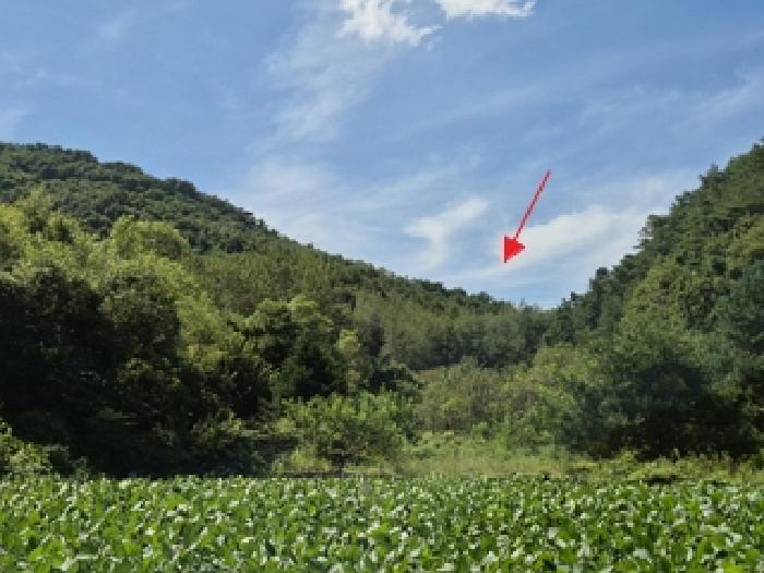 원주시 단계동 125-11 대지 경매 물건 사진