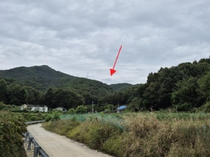 원주시 문막읍 취병리 임야 경매 물건 사진