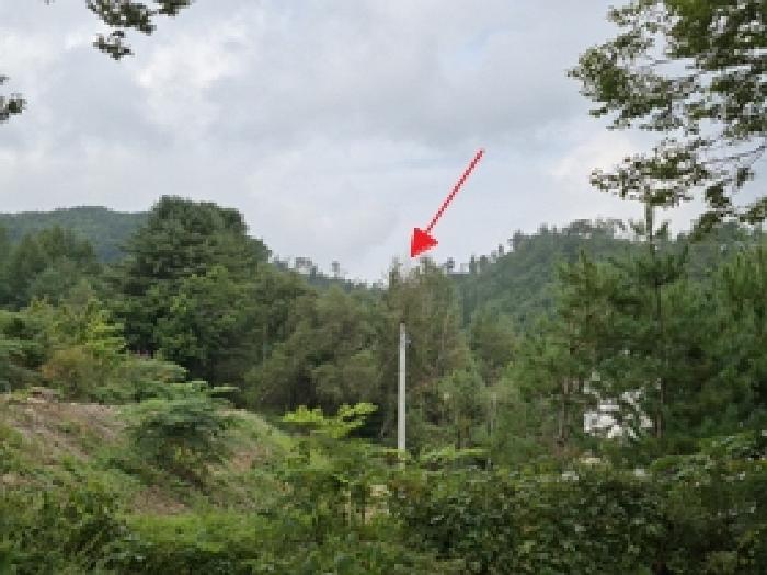 횡성군 강림면 강림리 전 경매 물건 사진