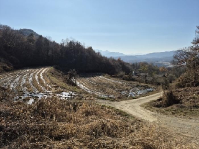횡성군 횡성읍 옥동리 대지,임야,전답 경매 물건 사진