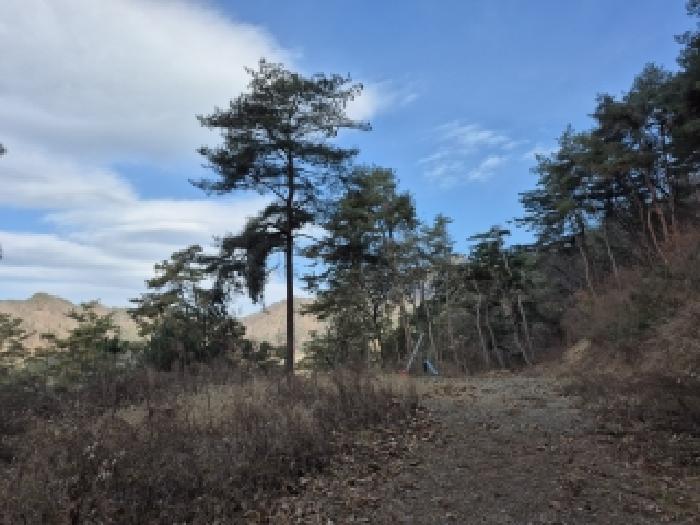 횡성군 갑천면 삼거리 단독주택 경매 물건 사진