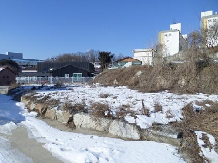 원주시 소초면 장양리 도로 경매 물건 사진