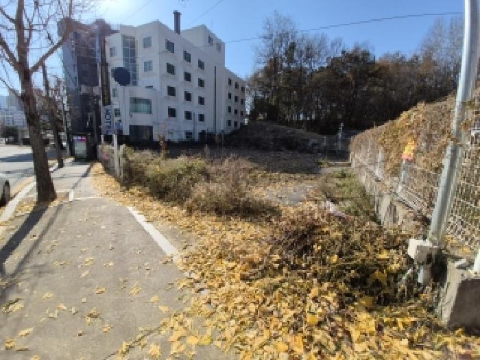 원주시 문막읍 동화리 임야 경매 물건 사진
