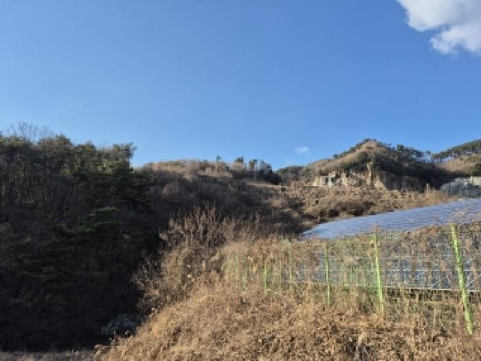 원주시 흥업면 대안리 임야 경매 물건 사진