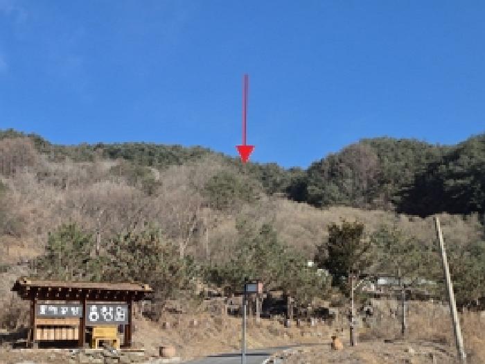 횡성군 강림면 월현리 대지,임야,전답 경매 물건 사진