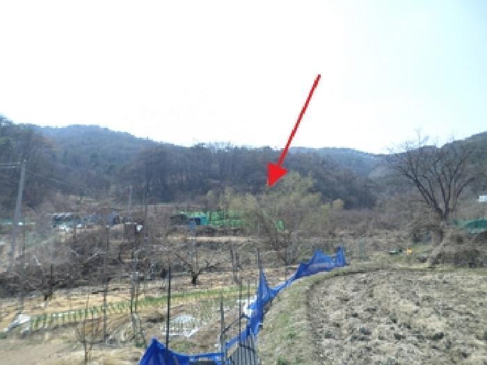 원주시 호저면 고산리 전 경매 물건 사진