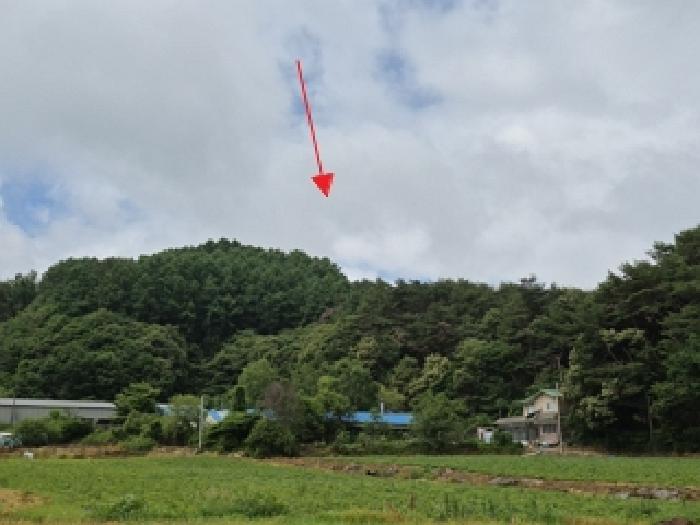 횡성군 안흥면 소사리 임야 경매 물건 사진