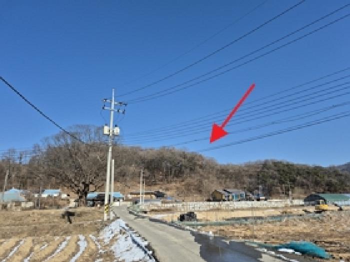 원주시 소초면 둔둔리 임야 경매 물건 사진