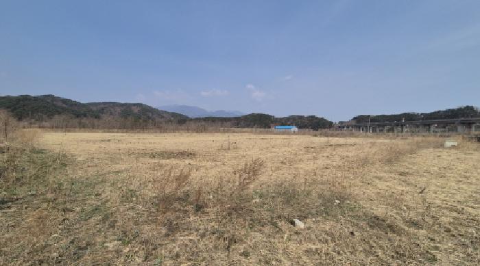 양양군 서면 북평리 임야 경매 물건 사진