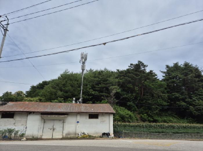 고성군 거진읍 화포리 임야 경매 물건 사진