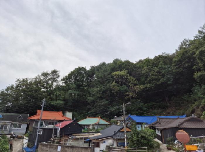 고성군 거진읍 거진리 임야 경매 물건 사진