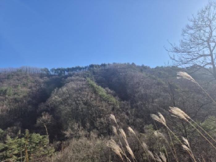 양양군 서면 영덕리 임야 경매 물건 사진
