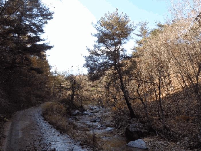 고성군 현내면 명파리 임야 경매 물건 사진