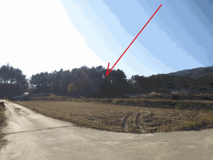 고성군 토성면 원암리 단독주택 경매 물건 사진