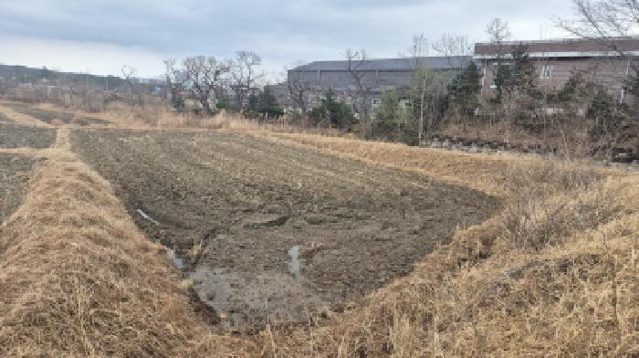 속초시 노학동 464 답 경매 물건 사진