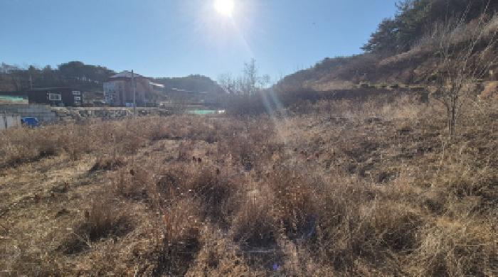 양양군 손양면 도화리 전답 경매 물건 사진