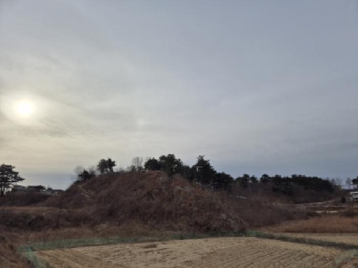 고성군 죽왕면 가진리 임야 경매 물건 사진