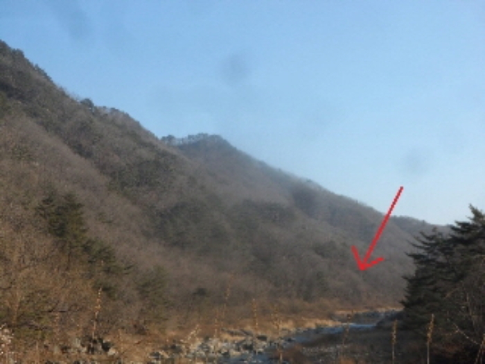 영월군 무릉도원면 운학리 임야 경매 물건 사진
