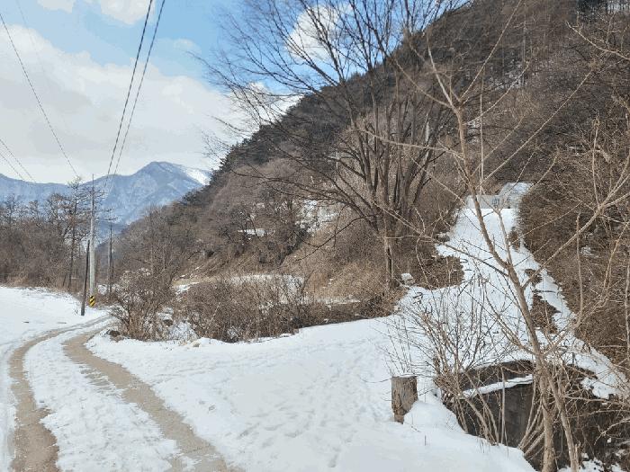 정선군 남면 유평리 전 경매 물건 사진