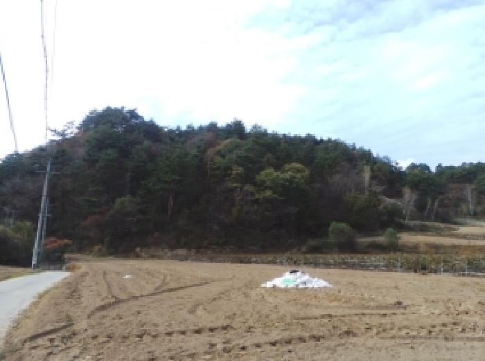 평창군 용평면 속사리 임야 경매 물건 사진