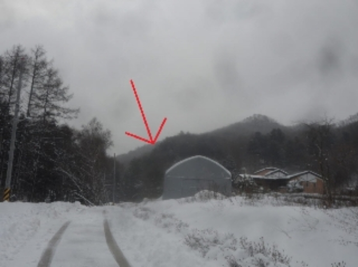 평창군 봉평면 면온리 임야 경매 물건 사진