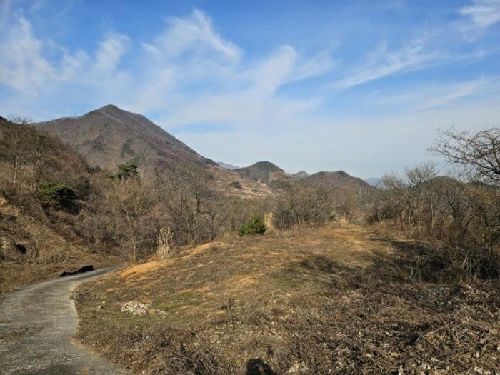 영월군 남면 토교리 다세대 경매 물건 사진