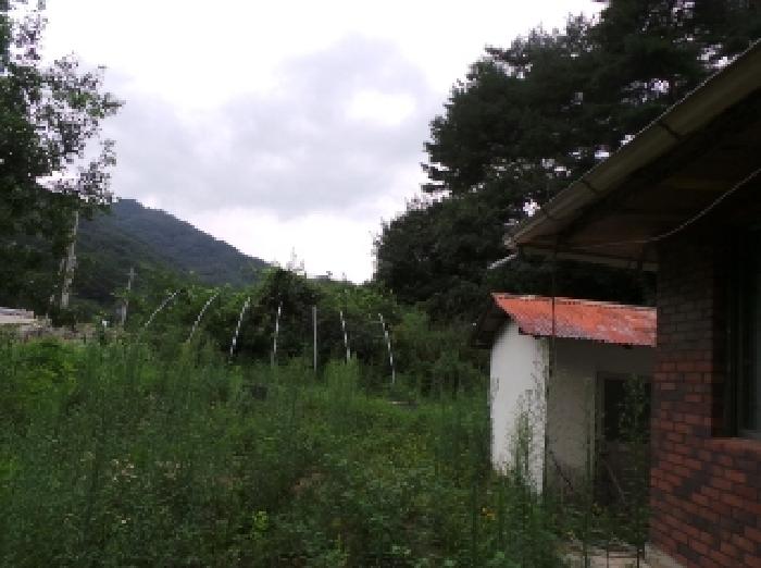 평창군 방림면 계촌리 전답 경매 물건 사진