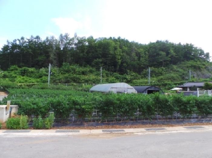 영월군 남면 연당리 단독주택 경매 물건 사진