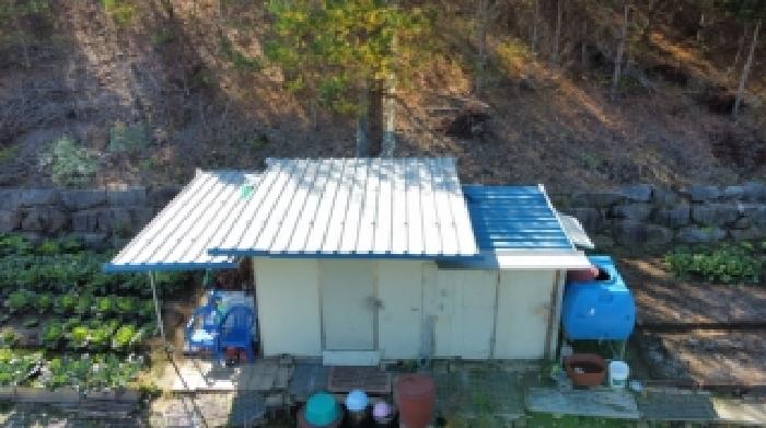 정선군 사북읍 사북리 임야 경매 물건 사진