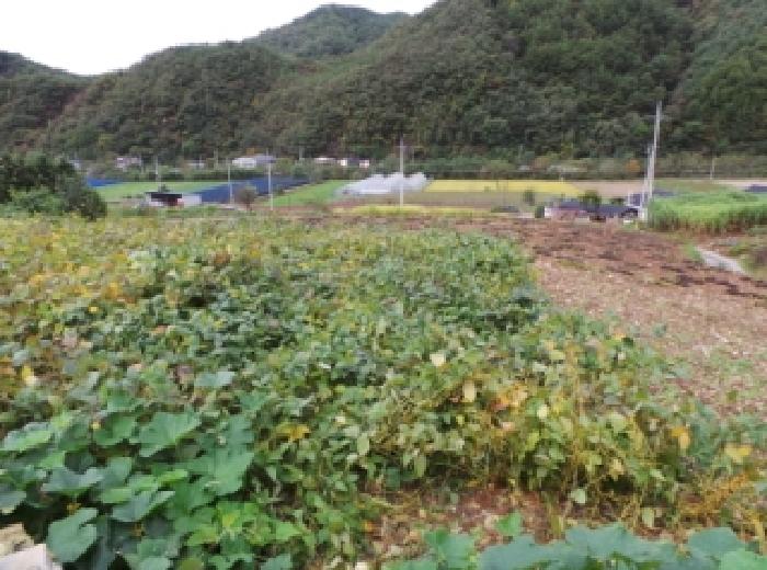 평창군 평창읍 이곡리 전답 경매 물건 사진
