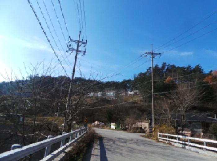 평창군 대관령면 유천리 임야 경매 물건 사진