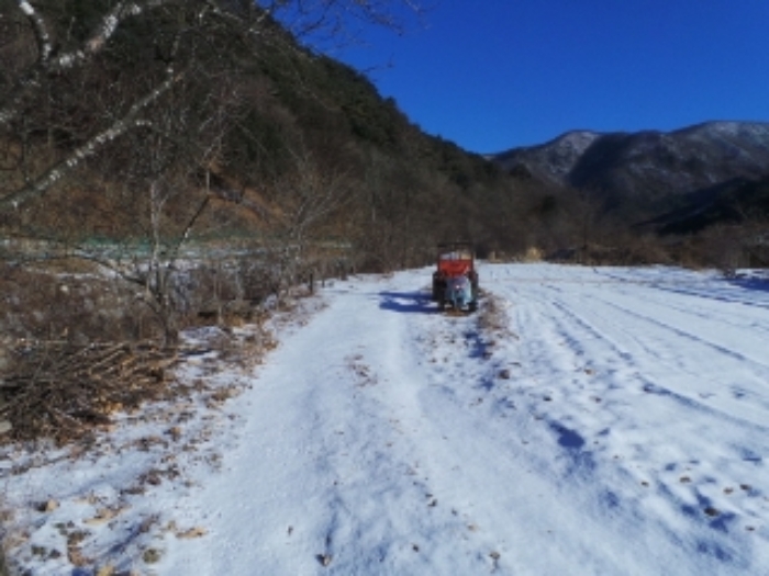 평창군 대화면 하안미리 전 경매 물건 사진
