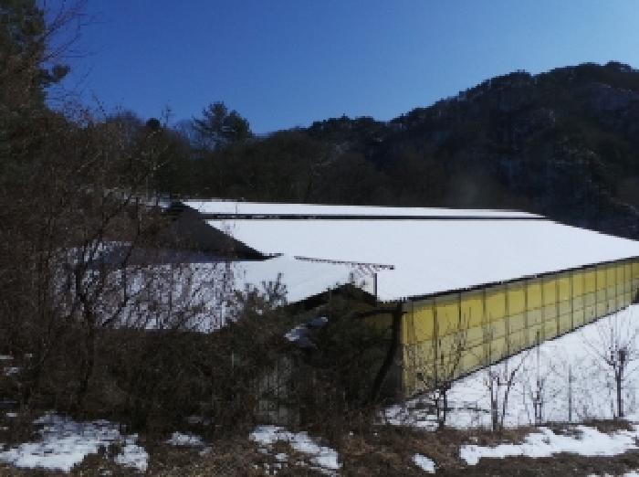 평창군 평창읍 향동리 기타 경매 물건 사진