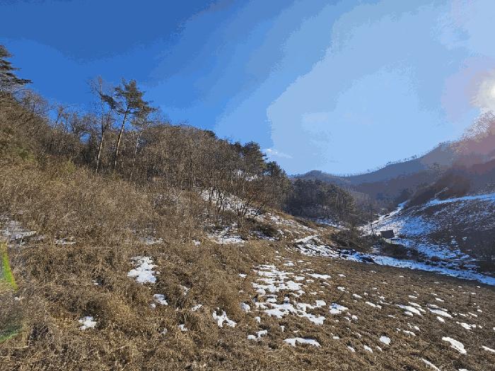 정선군 화암면 백전리 전 경매 물건 사진