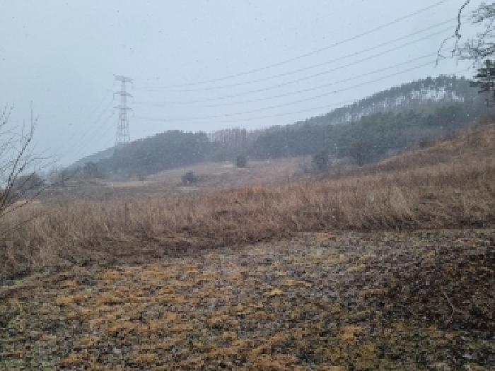 정선군 화암면 석곡리 전 경매 물건 사진