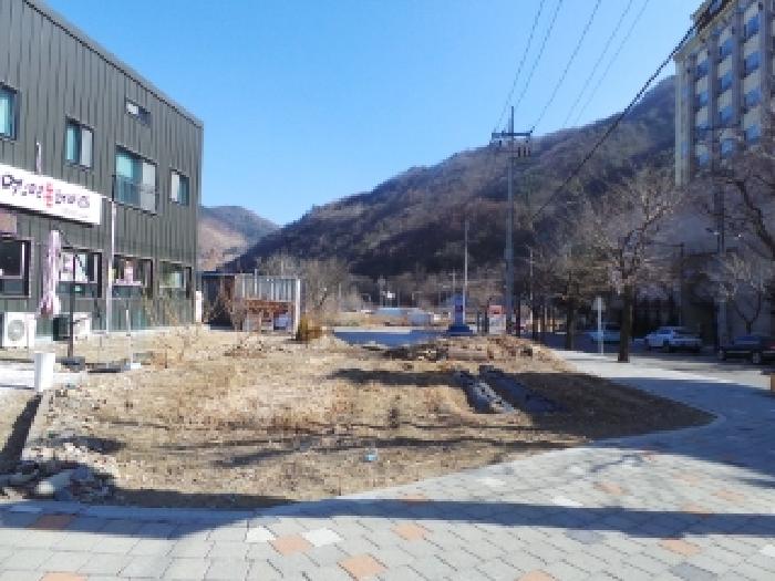 정선군 남면 무릉리 답 경매 물건 사진