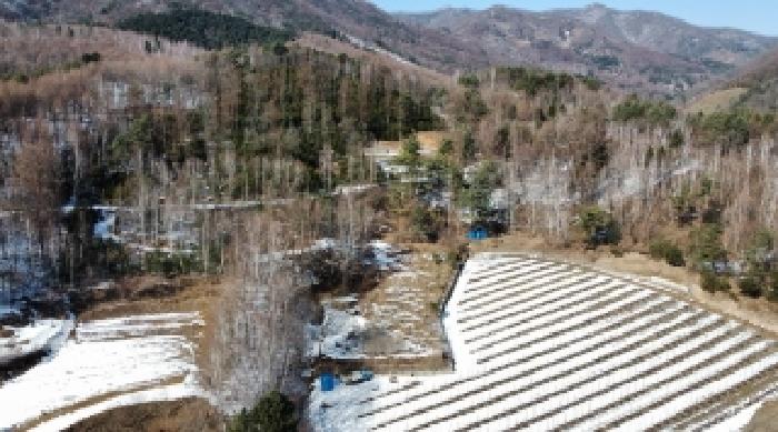 평창군 봉평면 원길리 임야 경매 물건 사진