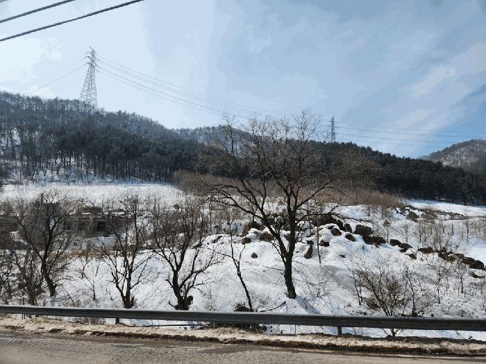 정선군 신동읍 조동리 전 경매 물건 사진