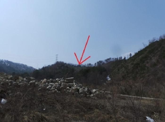 평창군 봉평면 진조리 임야 경매 물건 사진