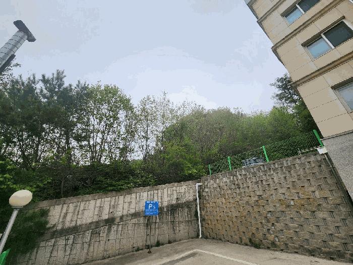 평창군 봉평면 면온리 전 경매 물건 사진